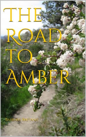 [The Road to Amber 01] • The Road to Amber